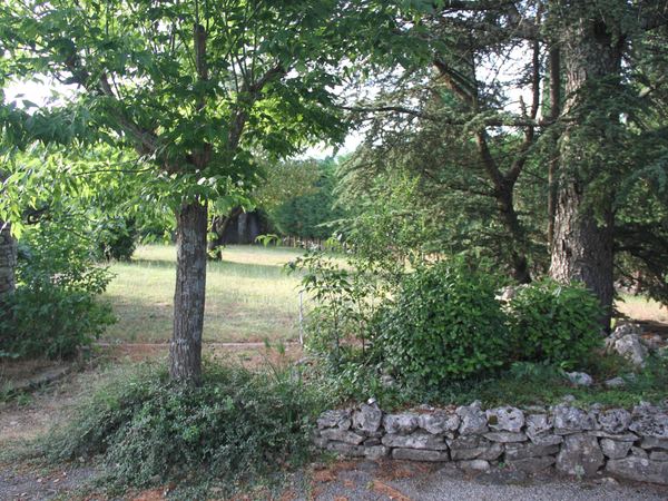 Le domaine