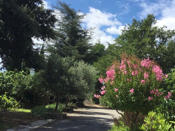 Parc fleuri