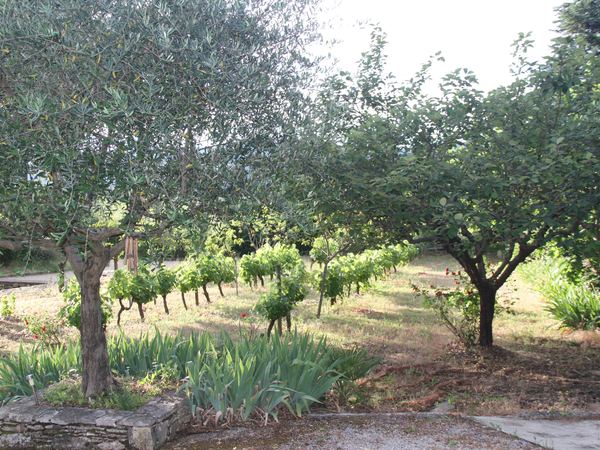 Le domaine