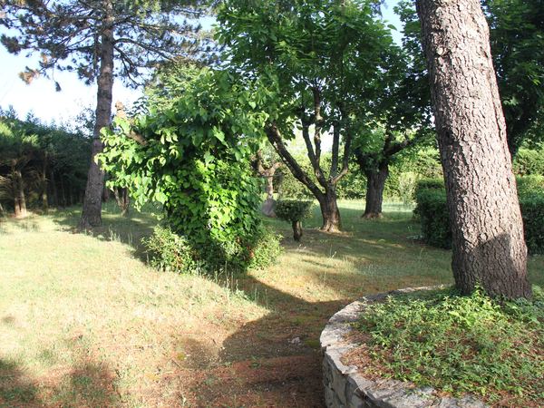 Le domaine